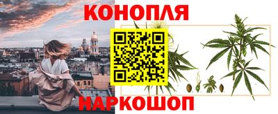 гидропоника Краснокаменск