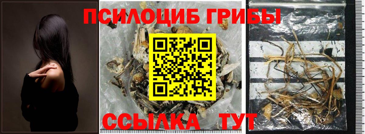 Псилоцибиновые грибы прущие грибы  Вход с VPN  Кольчугино 